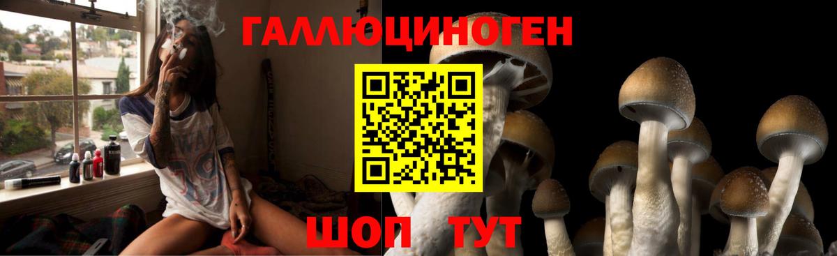 Псилоцибиновые грибы мухоморы  Галлюциногенные грибы GOLDEN TEACHER  Глазов  Вход с VPN 